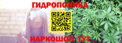 дмт Будённовск
