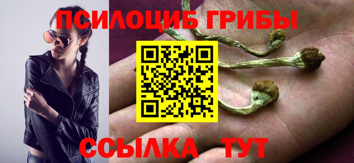 Псилоцибиновые грибы ЛСД Сальск